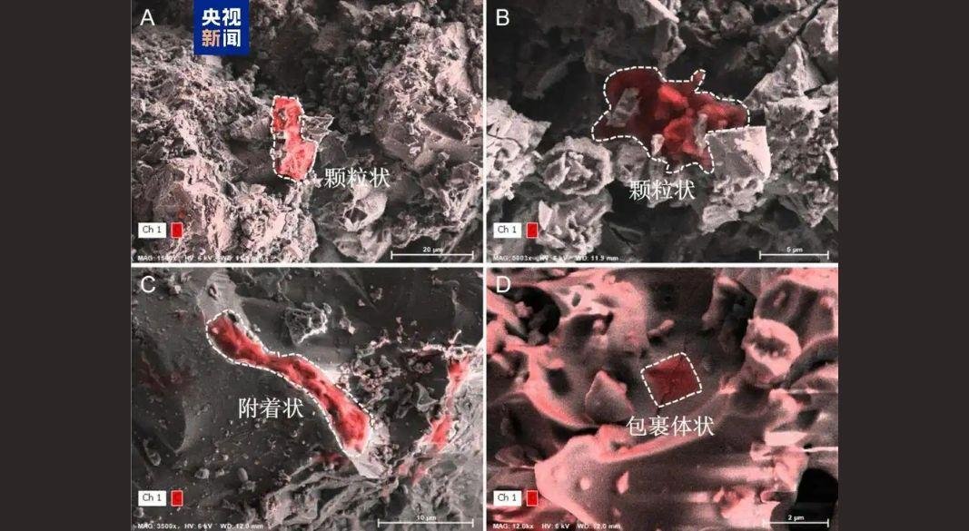 ছবি: সংগৃহীত।