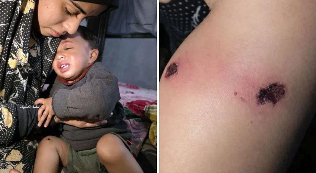 ছবি: সংগৃহীত।