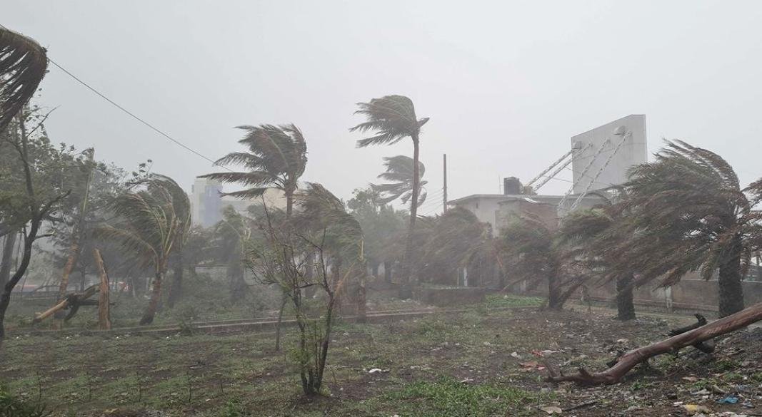 ফাইল ছবি