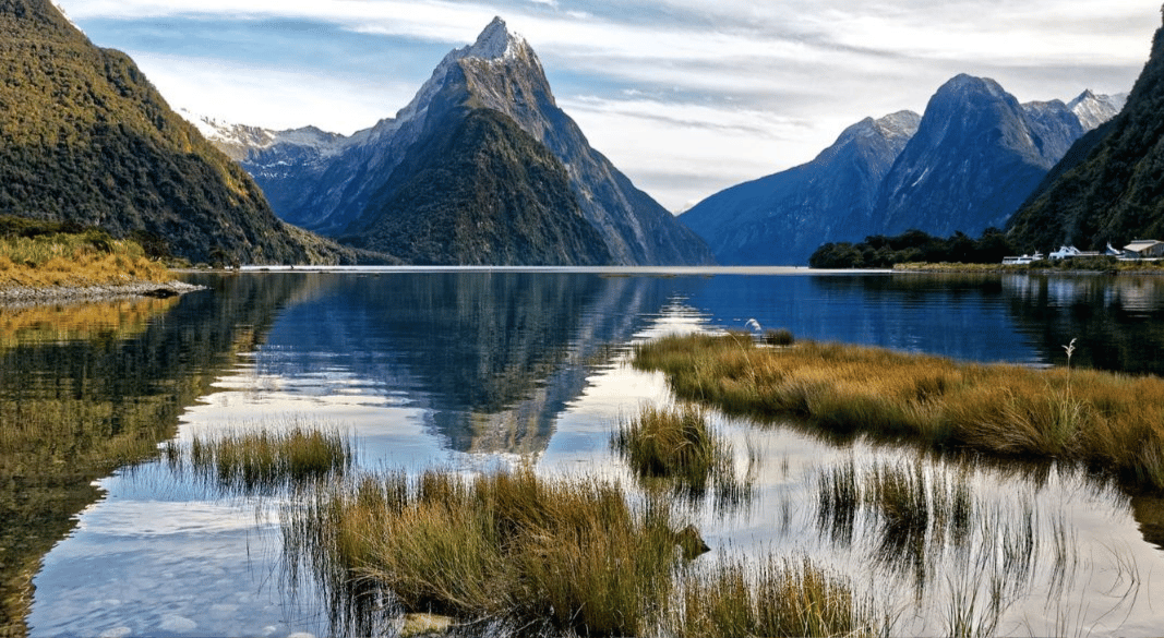 আবেদনের হিড়িক, টাকা থাকলে নিউজিল্যান্ডের ‘গোল্ডেন ভিসা’ পেতে পারেন আপনিও!