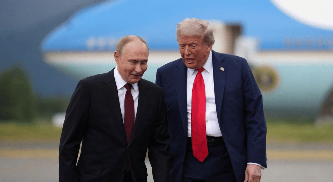 ছবি: সংগৃহীত।