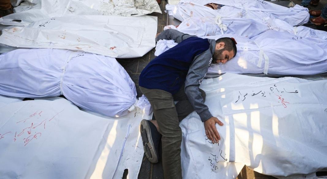 ছবি: সংগৃহীত।