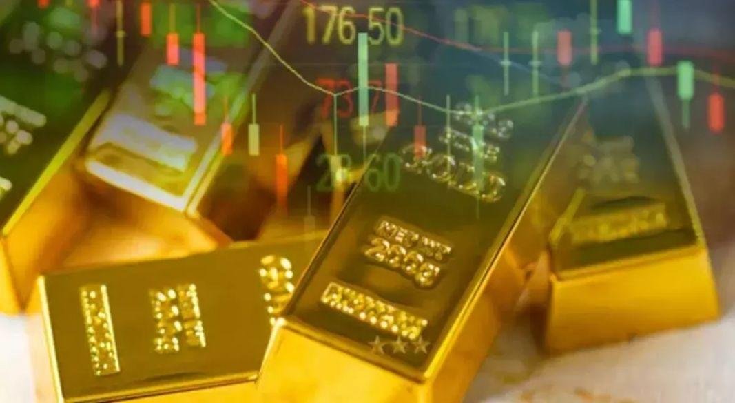 ফাইল ফটো।