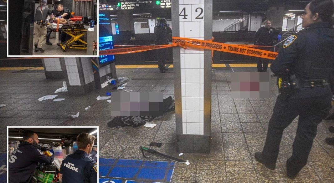 ছবি: সংগৃহীত।