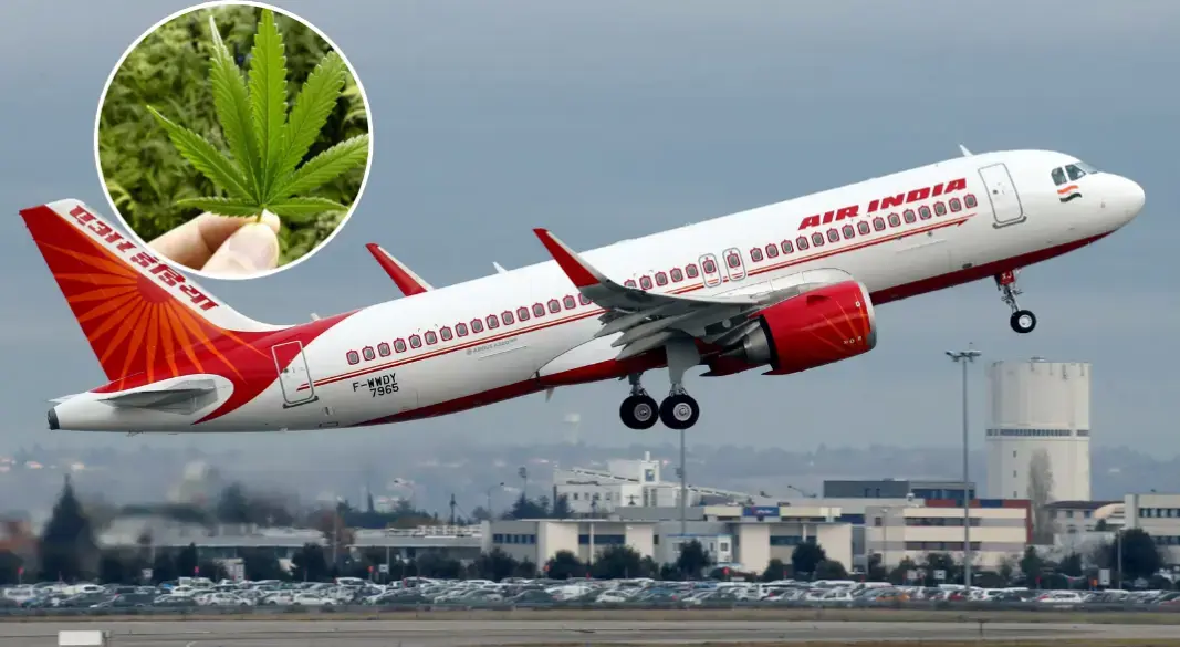 ভারতের ১৩৭ যাত্রীবাহী বিমানে মাঝ আকাশে ভয়াবহ ঝাঁকুনি, পরে জানা যায় পাইলট গাঁজা সেবন করেছিলেন