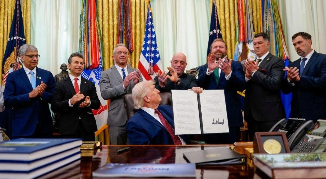 ছবি: সংগৃহীত।