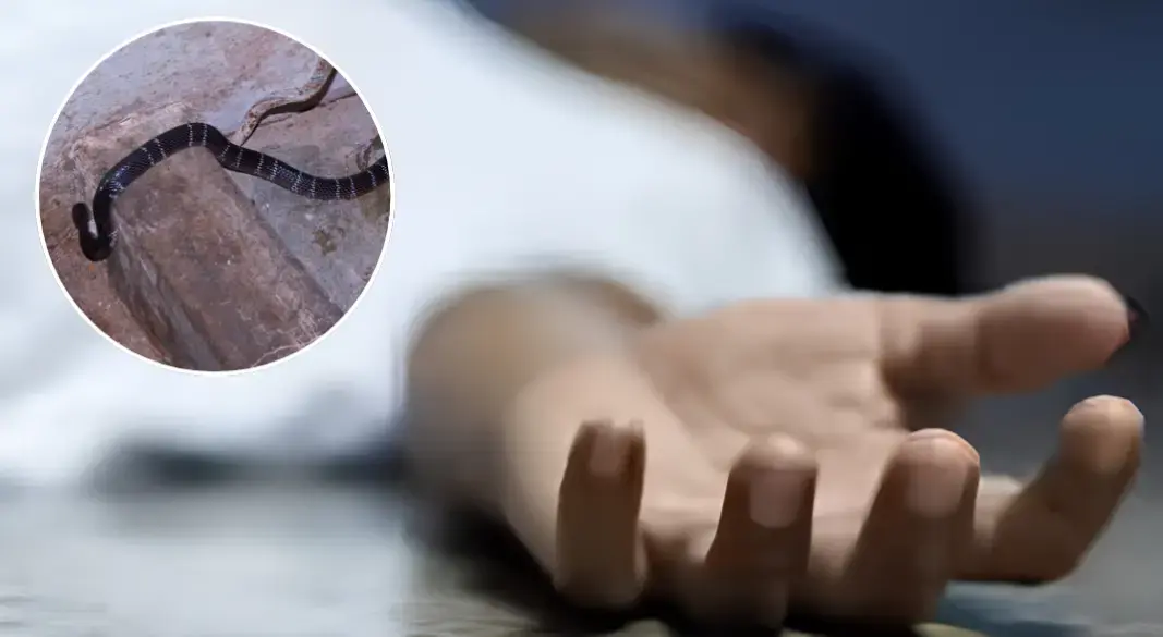 গ্রাফিক্স: আমেরিকা বাংলা