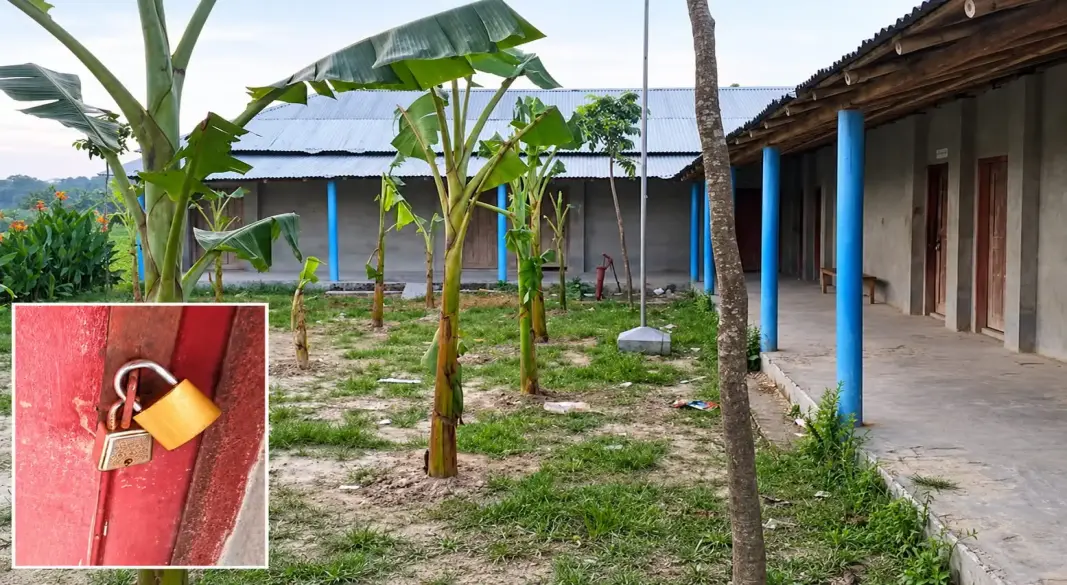 পুঠিয়ার ভালুকগাছি মুক্তিযোদ্ধা স্কুলের প্রধান ফটকে দেওয়া হয়েছে বাঁশের বেড়া