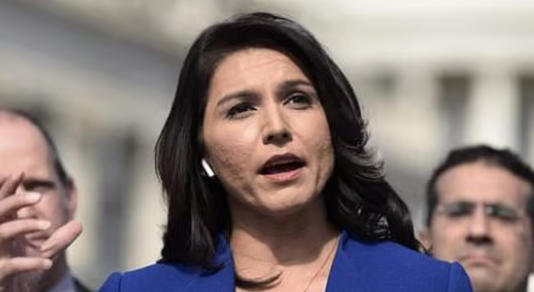 তুলসী গ্যাবার্ড। ফাইল ছবি: এএফপি