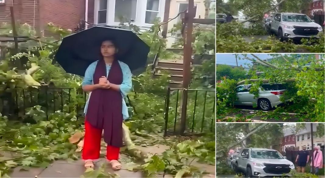 ফিলাডেলফিয়ায় তীব্র বজ্রঝড়ে সড়কের ওপর উপড়ে পড়ে বিশাল গাছ। ছবি: সংগৃহীত