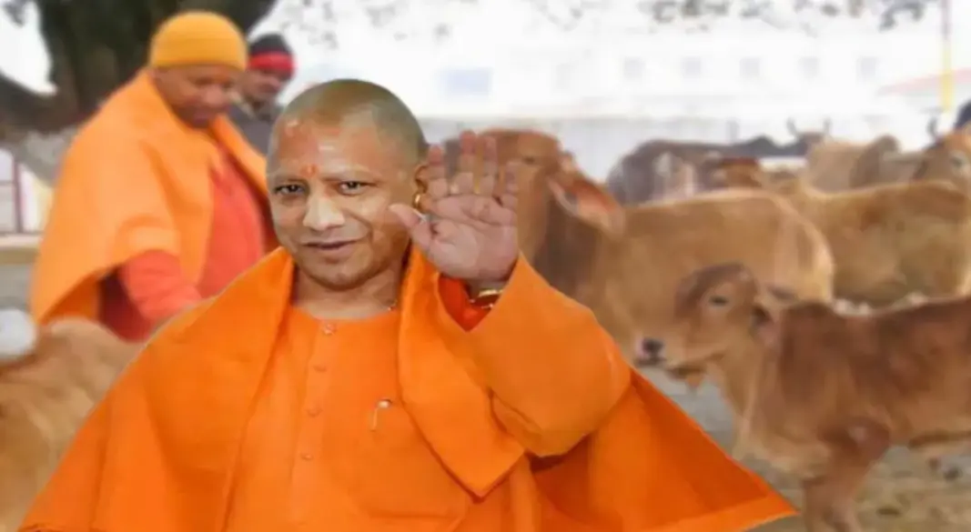 ‘গরুকে মা হিসেবে শ্রদ্ধা করি, জাতীয় প্রাণী ঘোষণার প্রয়োজন নেই’