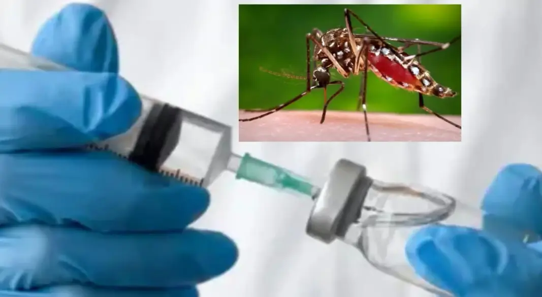 ফ্লোরিডার টাম্পাসহ বিভিন্ন এলাকায় ডেঙ্গু সং ক্র মণ বাড়ায় ম শার কামড় এড়াতে সতর্ক থাকার পরামর্শ