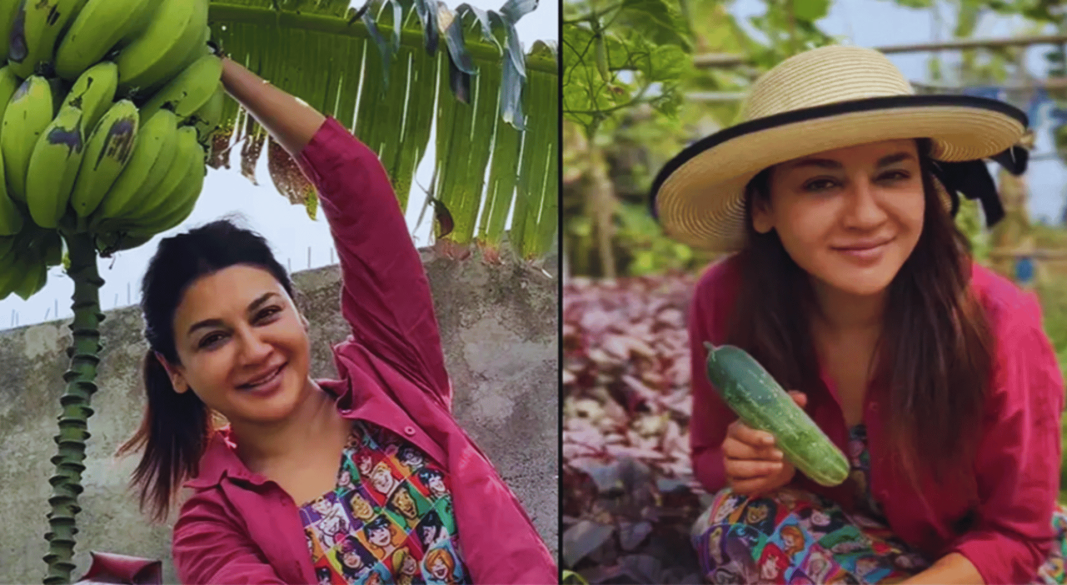 ছবি: সংগৃহীত।