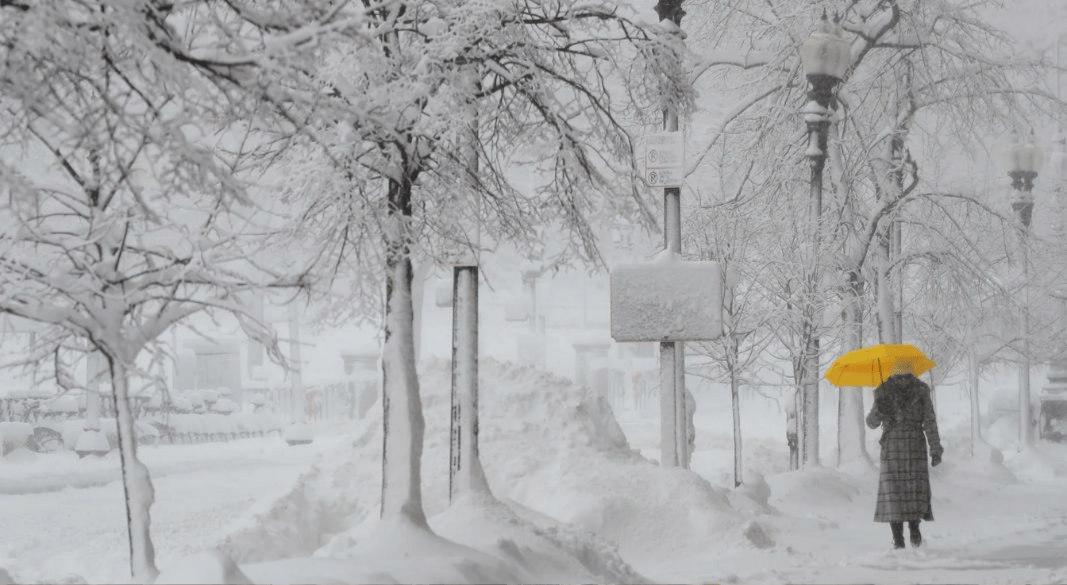 রেকর্ড তুষারপাতে বিপর্যস্ত আমেরিকা: অন্ধকারে লাখ লাখ মানুষ