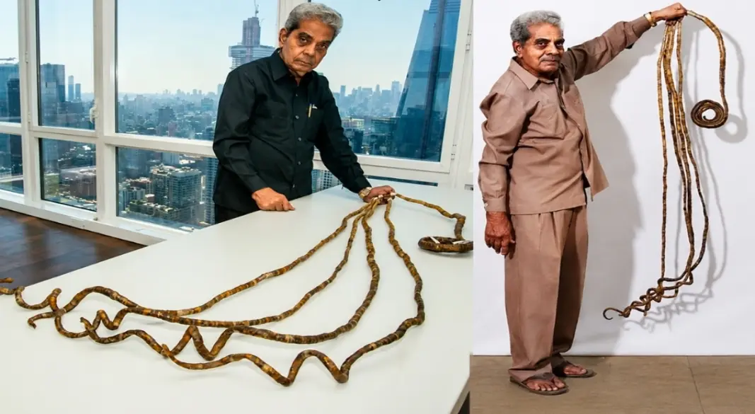 শ্রীধর চিল্লালের কাটা নখ নিউইয়র্কের টাইমস স্কয়ারে প্রদর্শনের জন্য রাখা হয়েছে। ছবি: সংগৃহীত