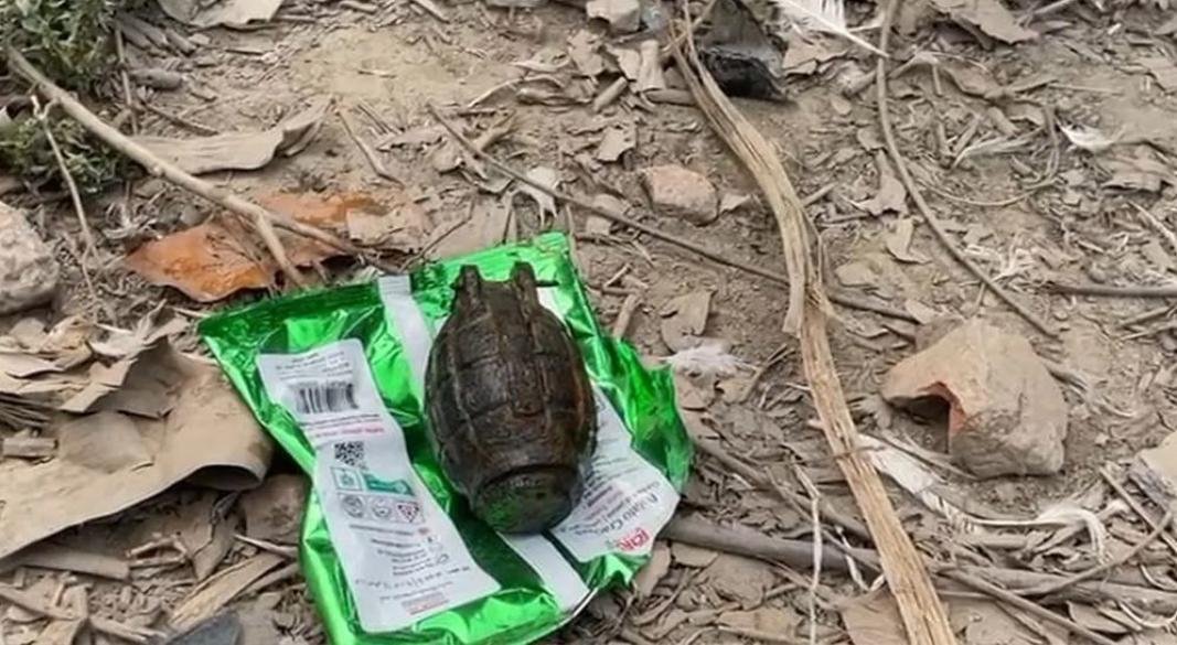 গ্রেনেড