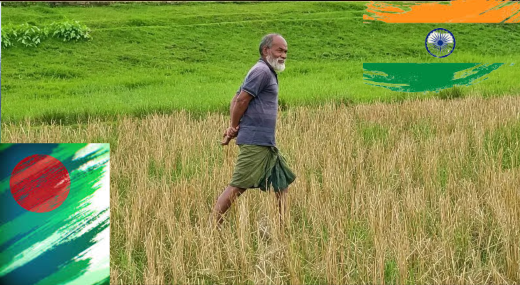 ছবি: কোলাজ আমেরিকা বাংলা
