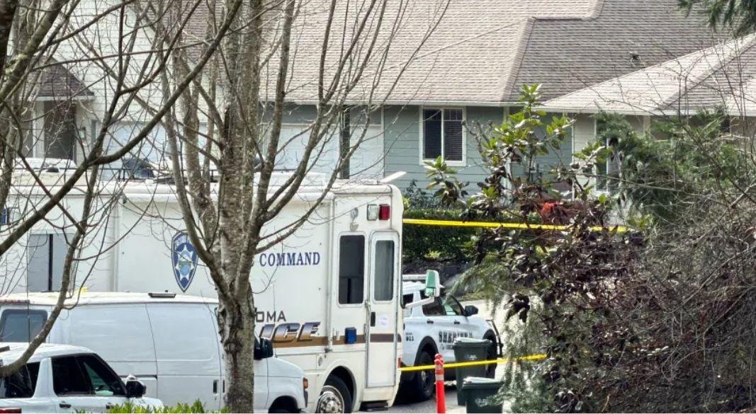 ছবি: সংগৃহীত।