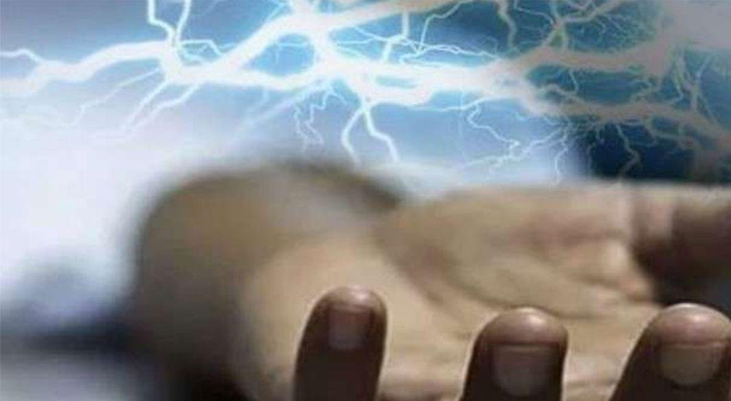 ছবি: সংগৃহীত।