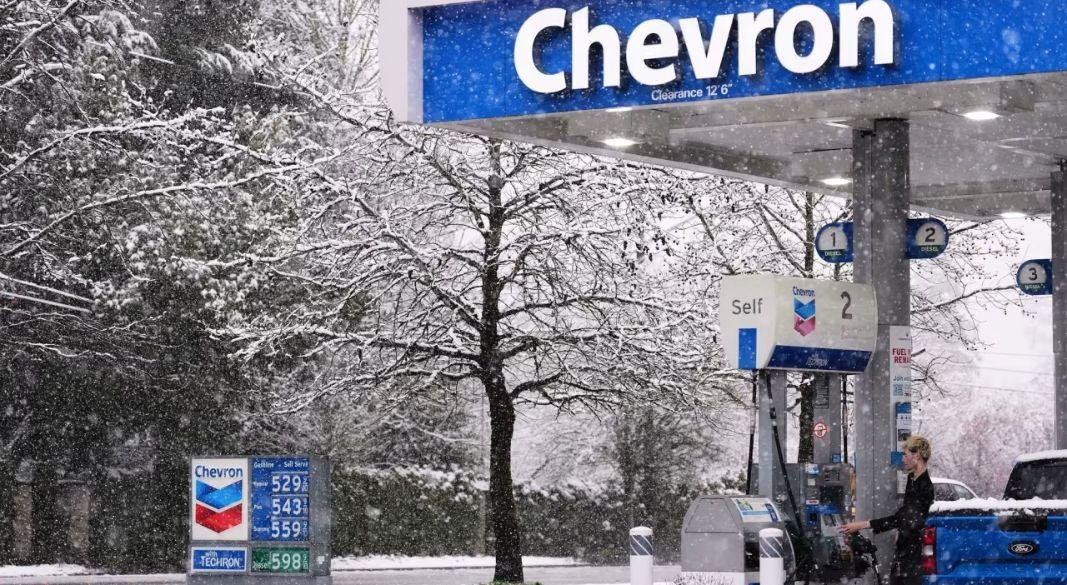 ছবি: সংগৃহীত।