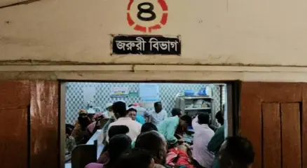 ছবি: সংগৃহীত