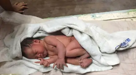 ২০১৯ সালে যুক্তরাষ্ট্রের জর্জিয়ার জঙ্গল থেকে প্লাস্টিকের ব্যাগে উদ্ধার হওয়া সেই নবজাতক ‘বেবি ইন্ডিয়া’। ছবি: সংগৃহীত