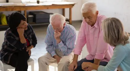 বয়স্ক সদস্য