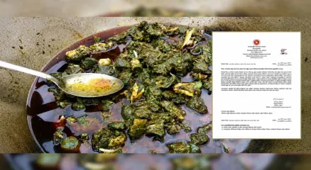 পাইকগাছায় রান্নার সময় মাংস সবুজ হয়ে যাওয়ার পর ল্যাব পরীক্ষায় ক্ষতিকারক ব্যাকটেরিয়ার উপস্থিতি মেলেনি। ছবি: সংগৃহীত