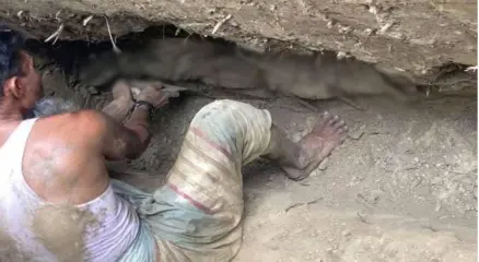স্ত্রীর দাফনের প্রস্তুতিতে মিলল ২৪ বছর আগের স্বামীর অক্ষত মরদেহ। ছবি: সংগৃহীত