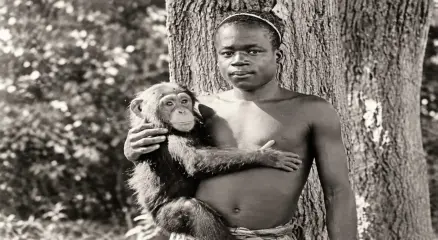 Ota Benga was put on display at the Bronx Zoo in 1906.