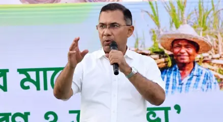 তারেক রহমান