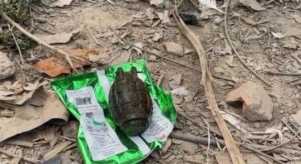 গ্রেনেড