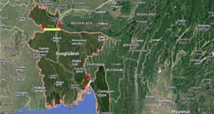 চিকেন নেক