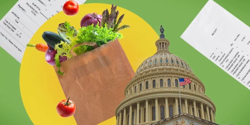 যুক্তরাষ্ট্রে ২৫ রাজ্যে বন্ধ ফুড স্ট্যাম্প : বিপদে নিম্ন আয়ের পরিবারগুলো