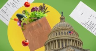 যুক্তরাষ্ট্রে ২৫ রাজ্যে বন্ধ ফুড স্ট্যাম্প : বিপদে নিম্ন আয়ের পরিবারগুলো