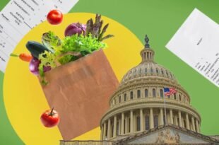 যুক্তরাষ্ট্রে ২৫ রাজ্যে বন্ধ ফুড স্ট্যাম্প : বিপদে নিম্ন আয়ের পরিবারগুলো