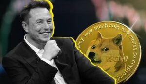 DOGE নিয়ে খোলাখুলি মাস্ক-সফল হলেও পুনরায় নয়