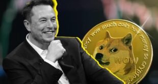 DOGE নিয়ে খোলাখুলি মাস্ক-সফল হলেও পুনরায় নয়