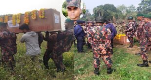 সীমান্তে ১৫ বছরে ৬০০+ বাংলাদেশীকে হত্যা করেছে বিএসএফ!